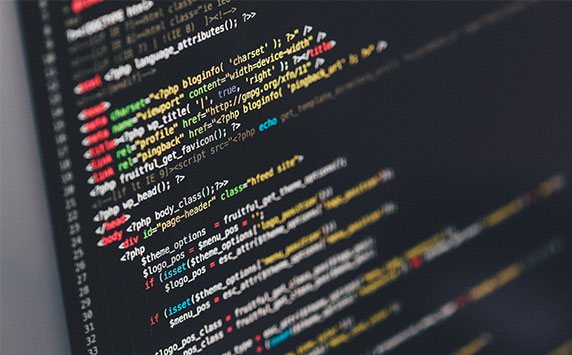 Website development process Website development process