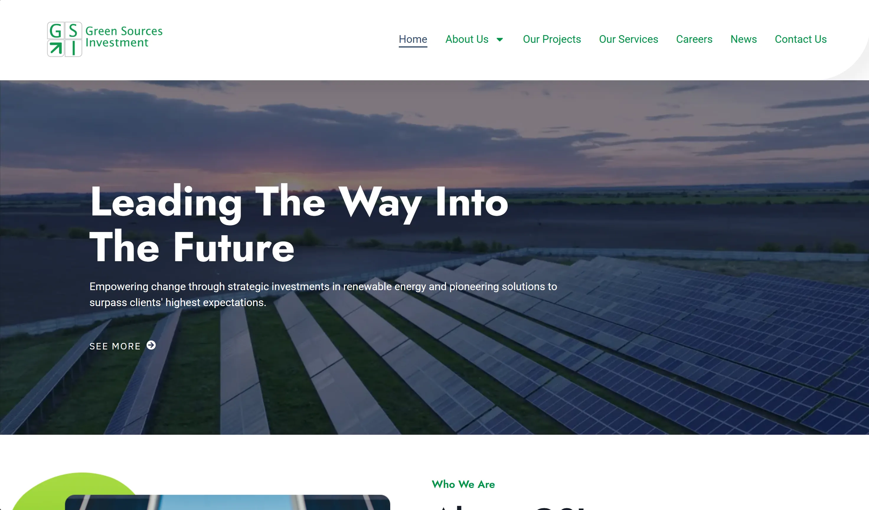 GSI branding and website design