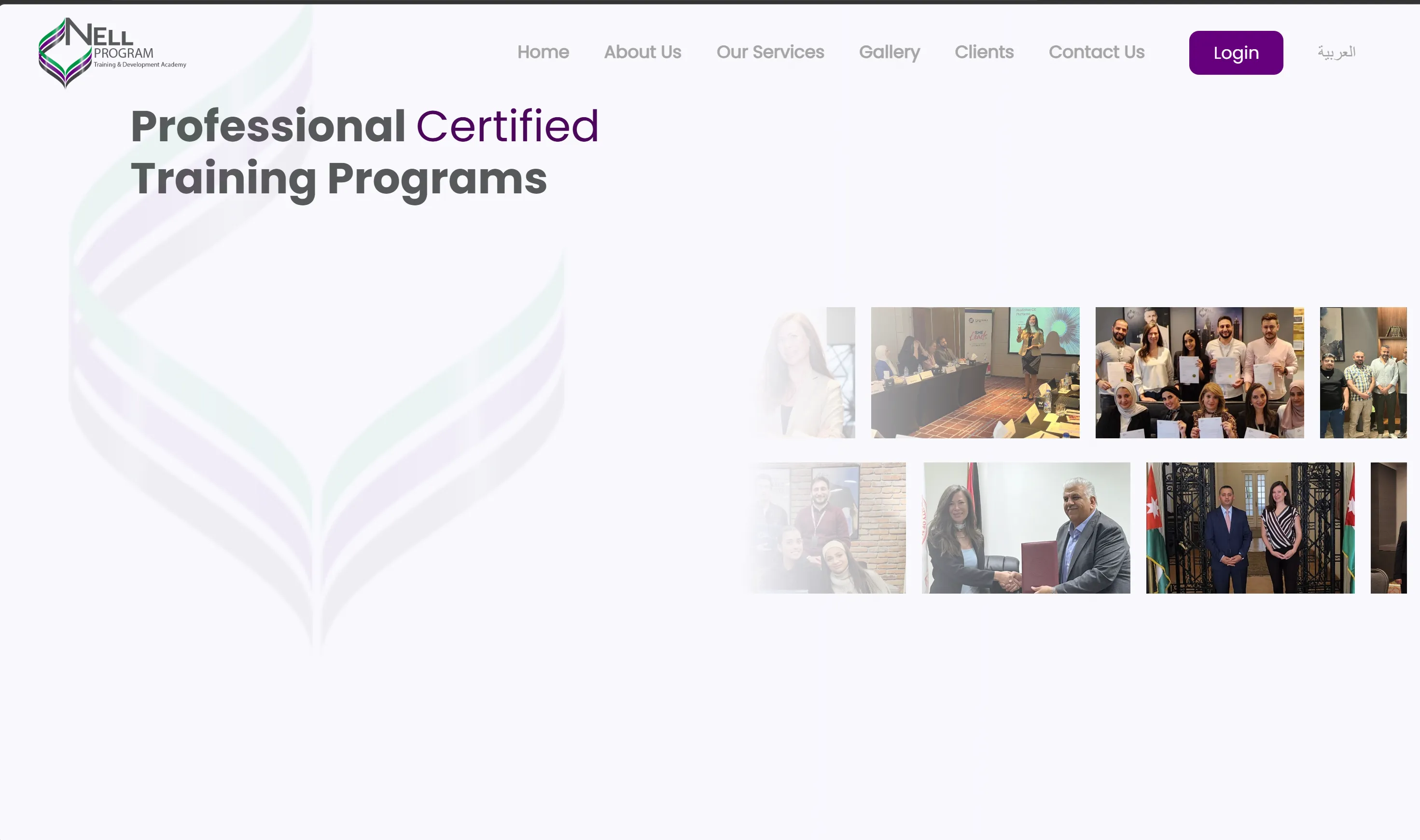 Nell Program branding and website design